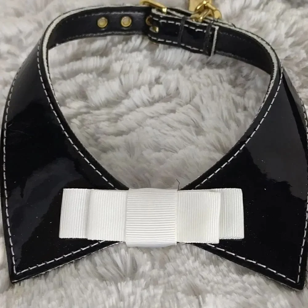 Dog Collar & Leash 12